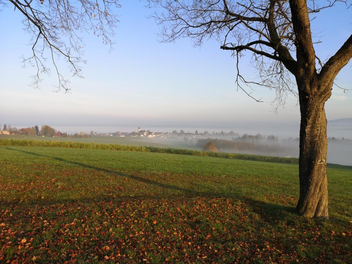 Landgasthof Zum Kirchenwirt Kellberg  Exteriör bild