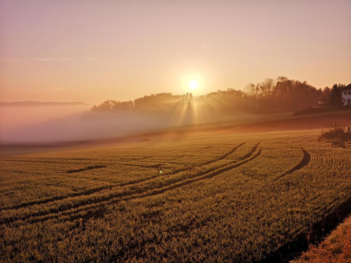 Landgasthof Zum Kirchenwirt Kellberg  Exteriör bild